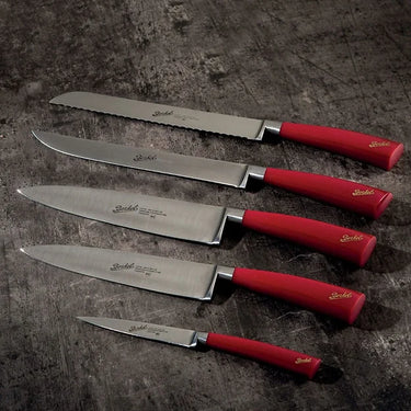 Messenset in rugbyleren blok, 5 delig - Berkel Elegance